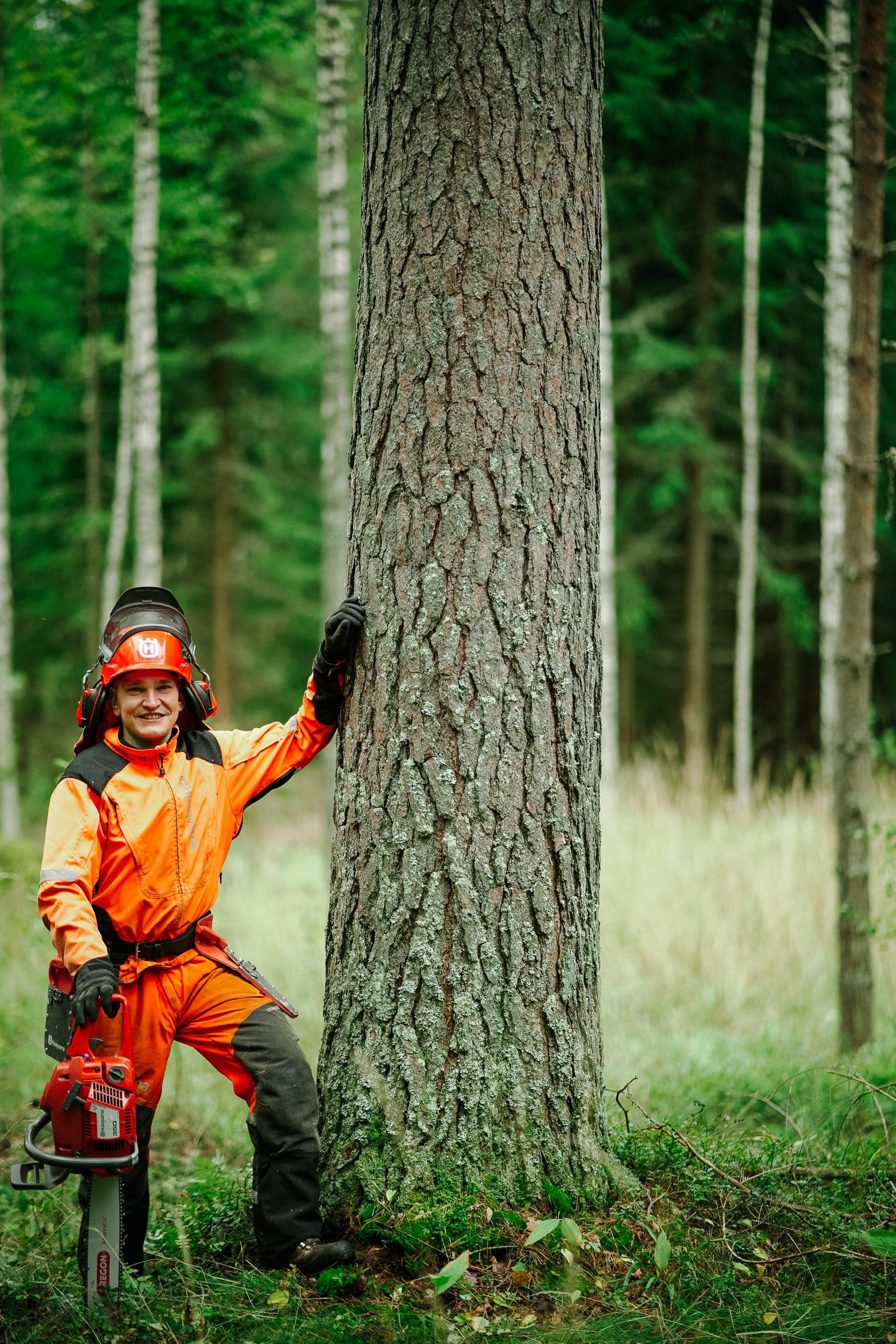 Pitopuu Oy:n yrittaja ja metsatalousinsinoori Tomi Laaperi seisoo ison puun vierella metsurin varusteissa